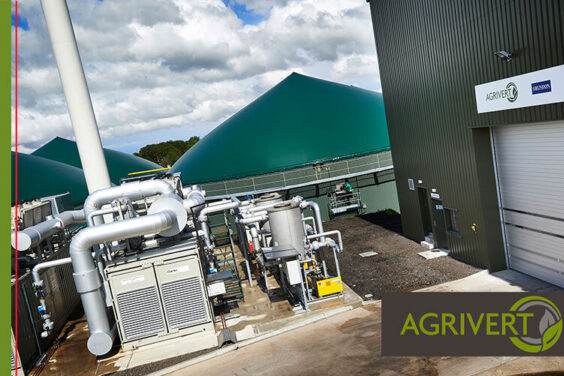 Why has Anaerobic Digestion (AD) become the dominant technology for recycling food waste in the UK