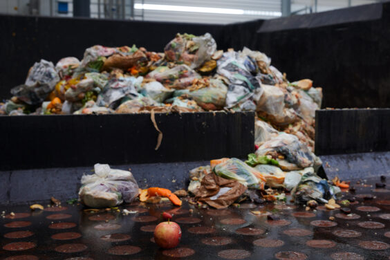 Food waste - mandatory food waste collections